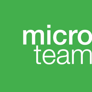 Microteam sas